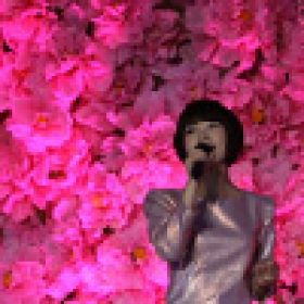 金海心出席朱、戴聯(lián)婚活動